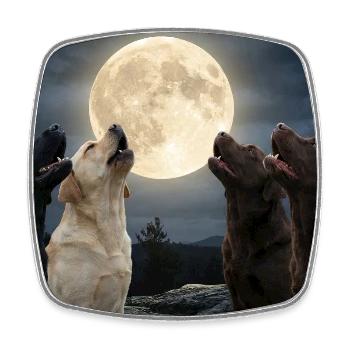 Howling to the Moon Meme Animal Dog Labrador - Square fridge magnet - white - Front