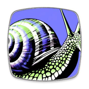 Escargot - Magnet carré - blanc - Devant