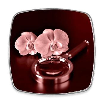 Orchid flowers and Magnifying Glass - Square fridge magnet - white - Front