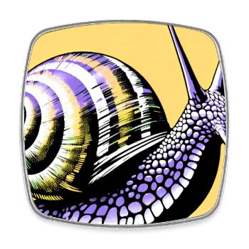 Snail - Square fridge magnet - white - Front