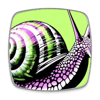 Snail - Square fridge magnet - white - Front