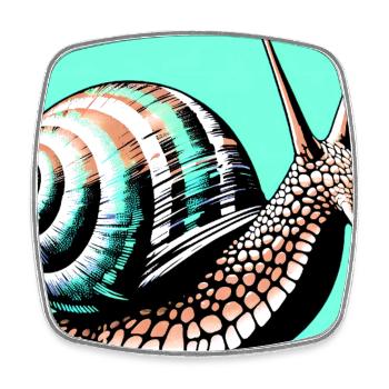 Snail - Square fridge magnet - white - Front