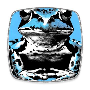 frog - Square fridge magnet - white - Front