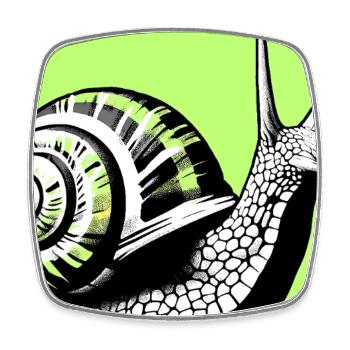 Schnecke - Viereckiger Kühlschrankmagnet - Weiß - Vorne