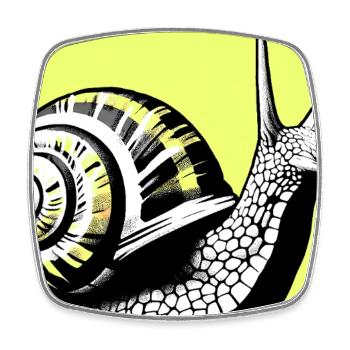 Escargot - Magnet carré - blanc - Devant