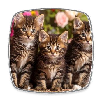 Aimée trio of spotted kittens in bloom - Square fridge magnet - white - Front