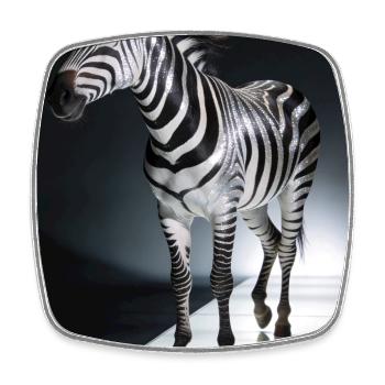 Zebra Light Trail - Square fridge magnet - white - Front