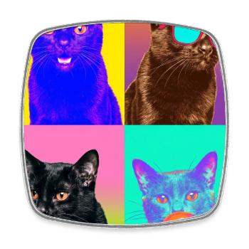 Cats Bombay Cat - Magnet carré - blanc - Devant
