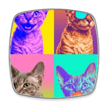 Chats Devon Rex Cat - Magnet carré - blanc - Devant