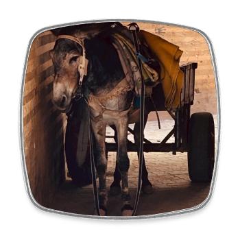 Âne avec un chariot dans le noir - Magnet carré - blanc - Devant