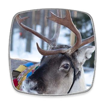 Reindeer - Square fridge magnet - white - Front