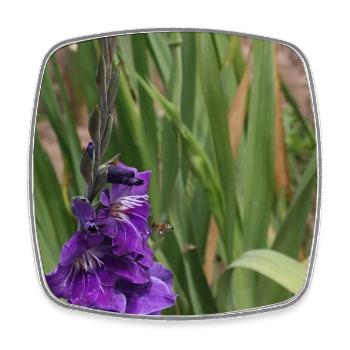 Gladiolus – starch in bloom - Square fridge magnet - white - Front