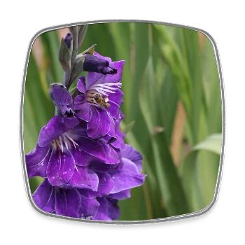 Gladiole – Stärke in Blüte - Viereckiger Kühlschrankmagnet - Weiß - Vorne