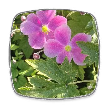 HERBST-ANEMONEN - Viereckiger Kühlschrankmagnet - Weiß - Vorne