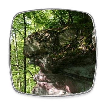 Waldfelsen im Morgenlicht / Nordschwarzwald - Viereckiger Kühlschrankmagnet - Weiß - Vorne