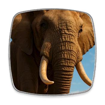 Elephant in close-up with sunshine - Square fridge magnet - white - Front