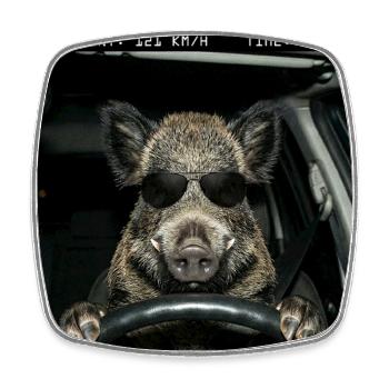 Wild boar speed control - Square fridge magnet - white - Front