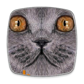 Chat britannique à poil court - Magnet carré - blanc - Devant