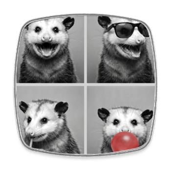 Opossums Opossum - Square fridge magnet - white - Front