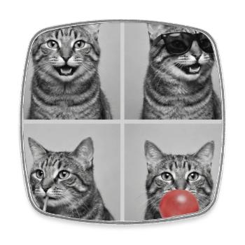 Cats American Bobtail Cat - Square fridge magnet - white - Front