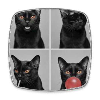 Cats Bombay Cat - Magnet carré - blanc - Devant