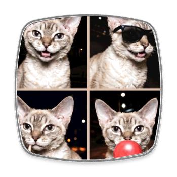 Katzen Devon Rex Katze - Viereckiger Kühlschrankmagnet - Weiß - Vorne
