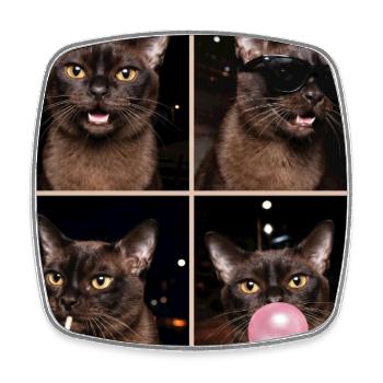 Chats Chat birman européen - Magnet carré - blanc - Devant