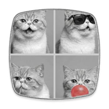 Cats Exotic Shorthair Cat - Square fridge magnet - white - Front