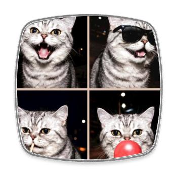 Cats Exotic Shorthair Cat - Square fridge magnet - white - Front
