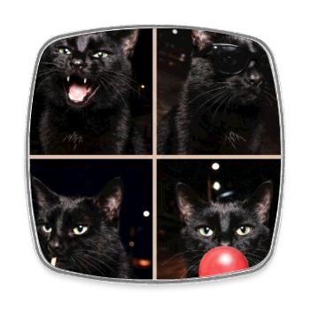 Katzen schwarze Katze - Viereckiger Kühlschrankmagnet - Weiß - Vorne