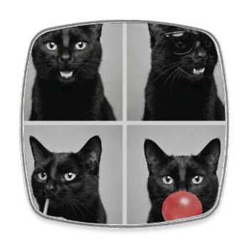 Katzen schwarze Katze - Viereckiger Kühlschrankmagnet - Weiß - Vorne