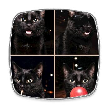 Katzen schwarze Katze - Viereckiger Kühlschrankmagnet - Weiß - Vorne