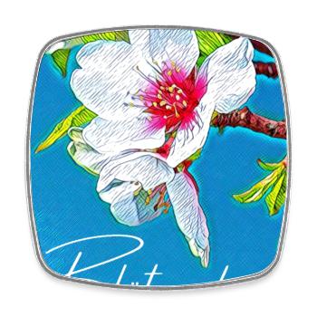 Blossom Beautiful - Vocabulary - Forgotten Words - Square fridge magnet - white - Front