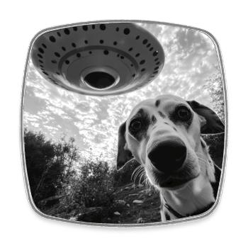 Dalmatian Selfie UFO - Square fridge magnet - white - Front