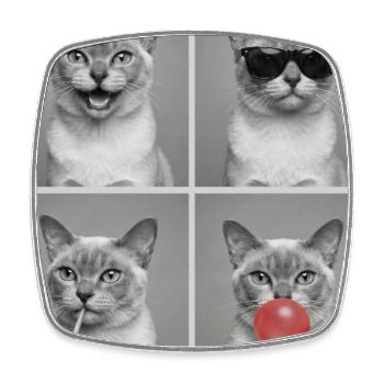 Cats European Burmese Cat - Square fridge magnet - white - Front