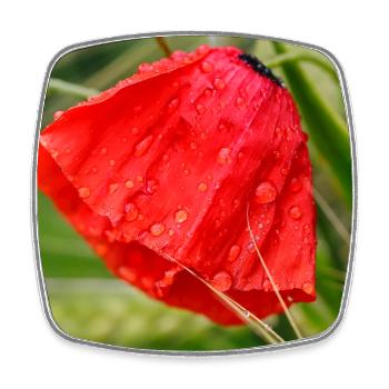 Poppy Drop Pattern Motif - Square fridge magnet - white - Front