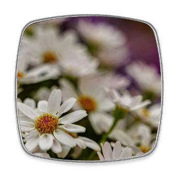 Gänseblümchen Blumen - Viereckiger Kühlschrankmagnet - Weiß - Vorne