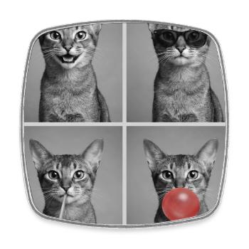 Chats Chat Abyssinian - Magnet carré - blanc - Devant