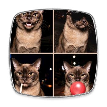 Chats Chat de Birmanie - Magnet carré - blanc - Devant