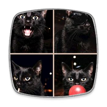 Katzen schwarze Katze - Viereckiger Kühlschrankmagnet - Weiß - Vorne