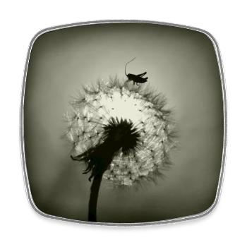 Tiny Planet - Square fridge magnet - white - Front