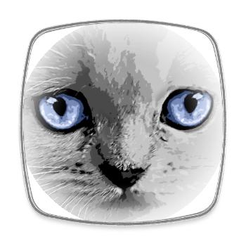 Kitty Kitten Cat - Square fridge magnet - white - Front