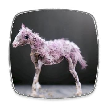Bébé Cheval Rose Gris Saut - Magnet carré - blanc - Devant