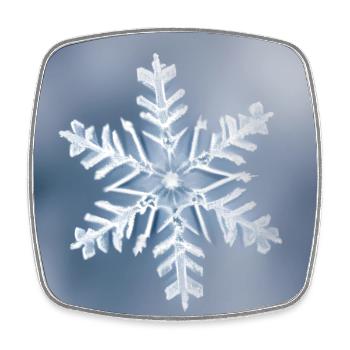 Winter-Schneeflocken-Porträt - Viereckiger Kühlschrankmagnet - Weiß - Vorne