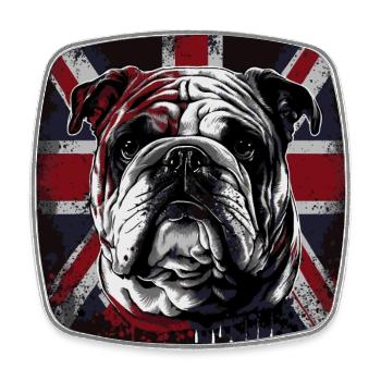 Lustige Englische Bulldogge - Viereckiger Kühlschrankmagnet - Weiß - Vorne
