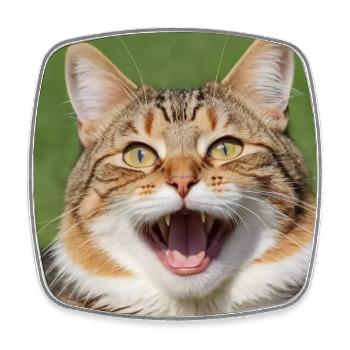 Katze - Viereckiger Kühlschrankmagnet - Weiß - Vorne