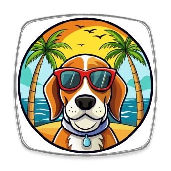 Bracco Italiano Chien Race Dessin Animé Lunettes De Soleil Plage - Magnet carré - blanc - Devant