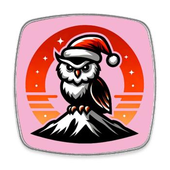 Drôle de petit hibou de Noël avec chapeau de Père Noël - Magnet carré - blanc - Devant