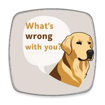Golden Retriever - What ́s Wrong With You - Square fridge magnet - white - Front