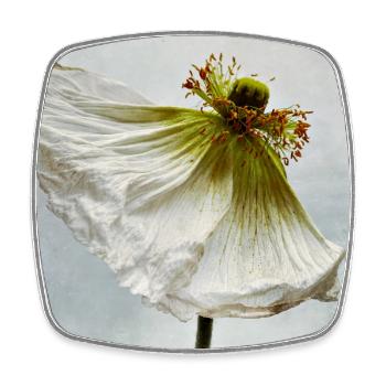White Poppy - Viereckiger Kühlschrankmagnet - Weiß - Vorne